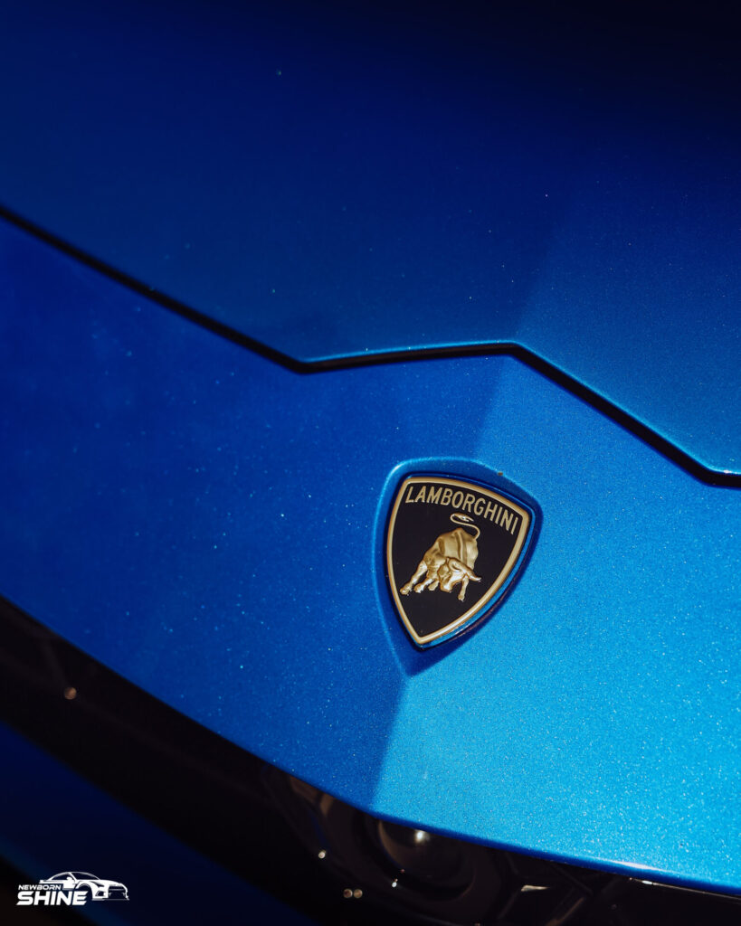 2021 Lamborghini Urus Auto Detailing and Ceramic Coating - Driver Front Logo High Close